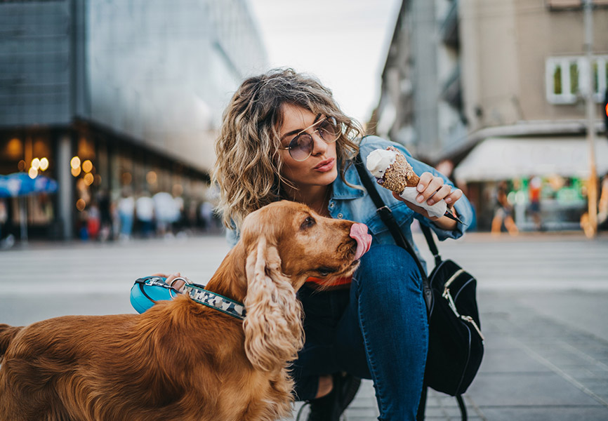 Girl and dog eating ice cream on the street